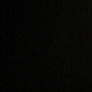 Meet your Posher, Brayden